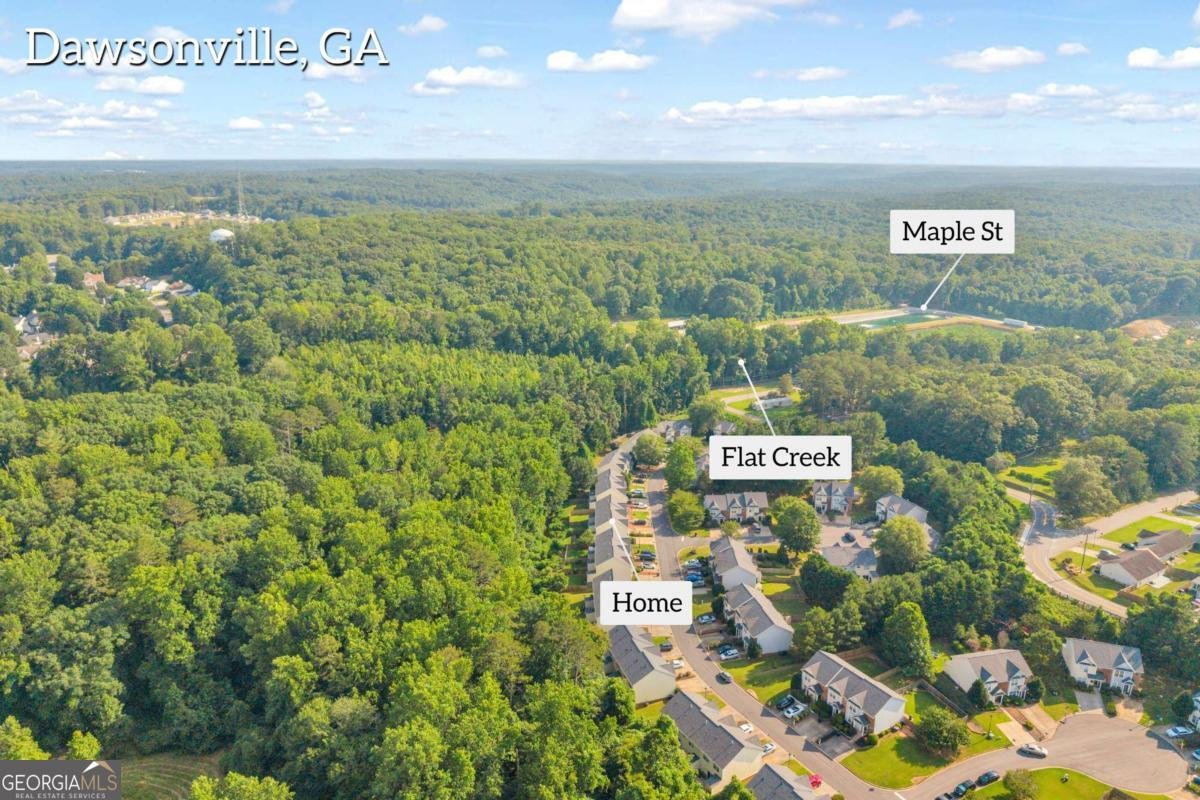 207 Pearl Chambers Drive Dawsonville - Photo 65