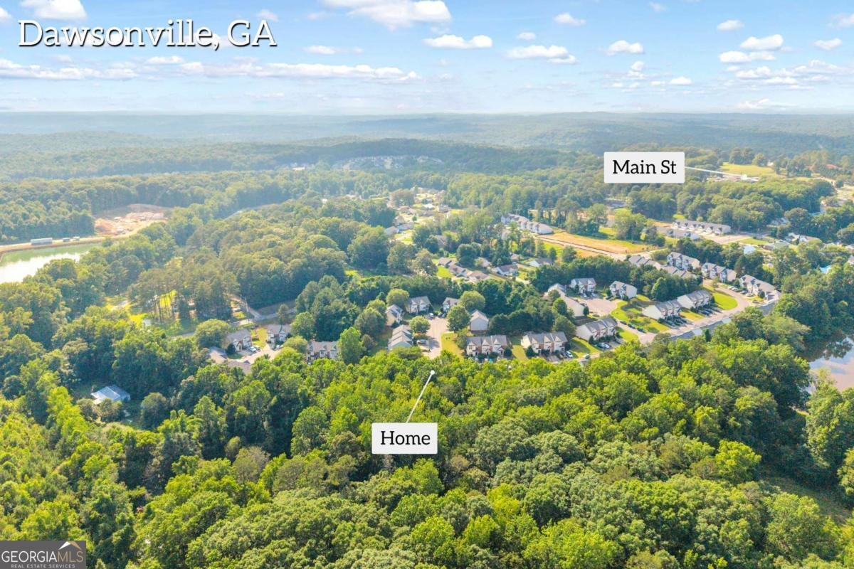 207 Pearl Chambers Drive Dawsonville - Photo 66