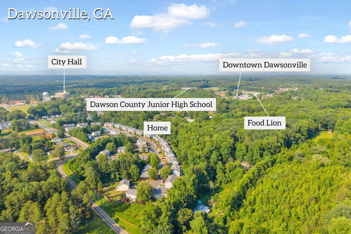 207 Pearl Chambers Drive Dawsonville - Photo 67