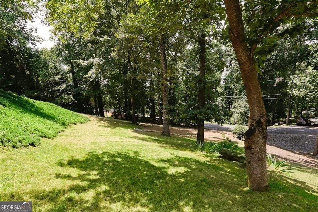 110 Winterhawk Cove Dawsonville - Photo 56