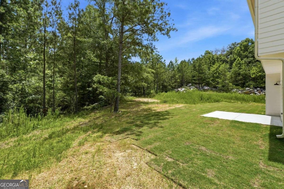 5137 Maroney Mill Road Douglasville - Photo 24