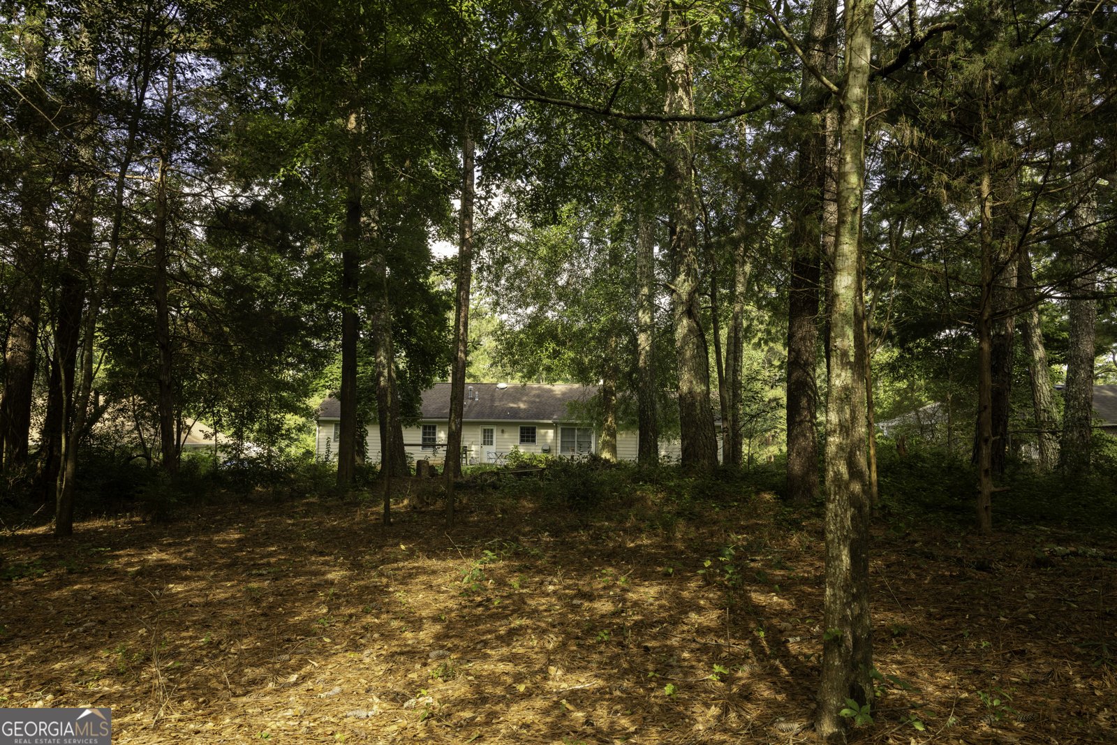 4311 Derbyshire Trace Conyers - Photo 50