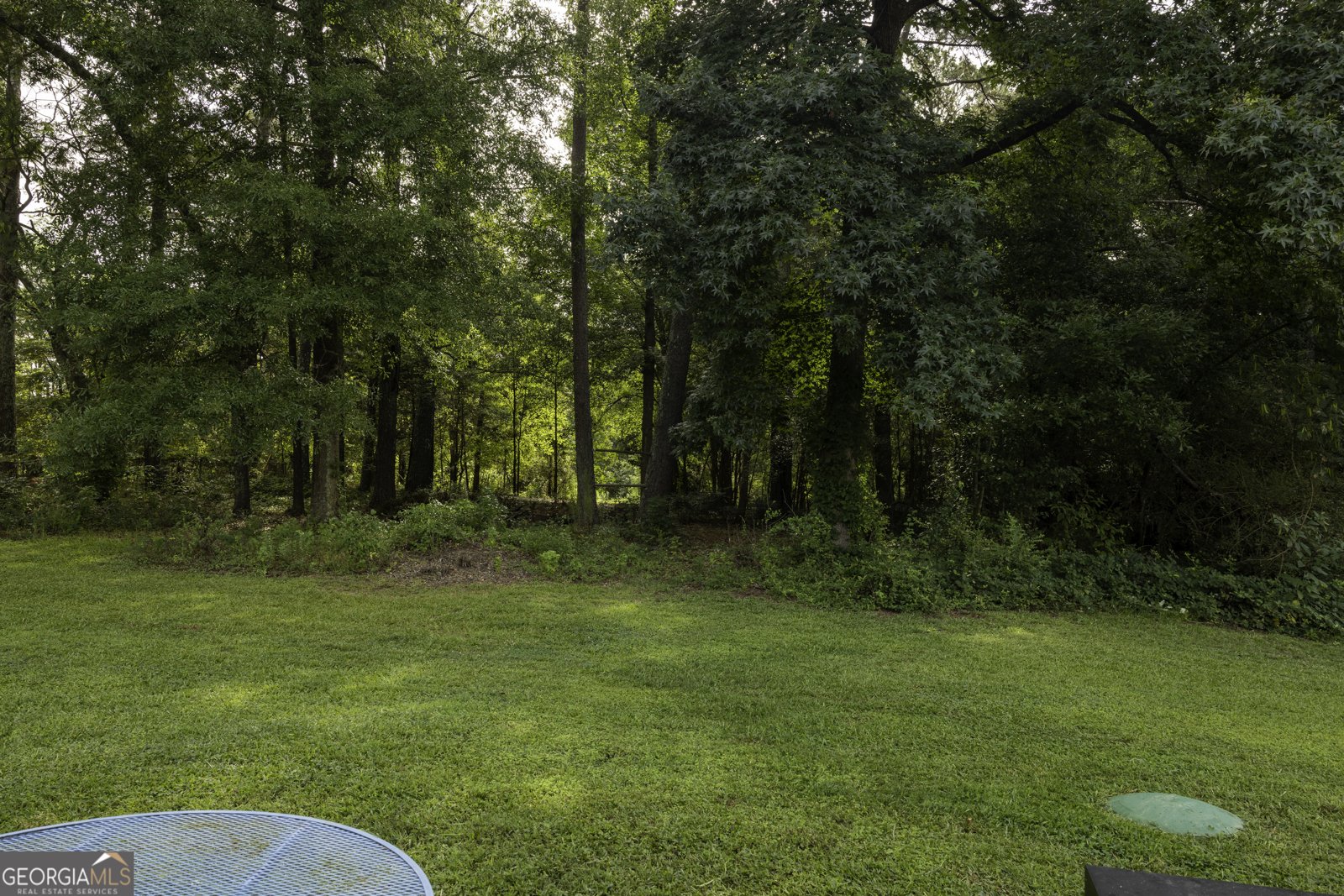 4311 Derbyshire Trace Conyers - Photo 51