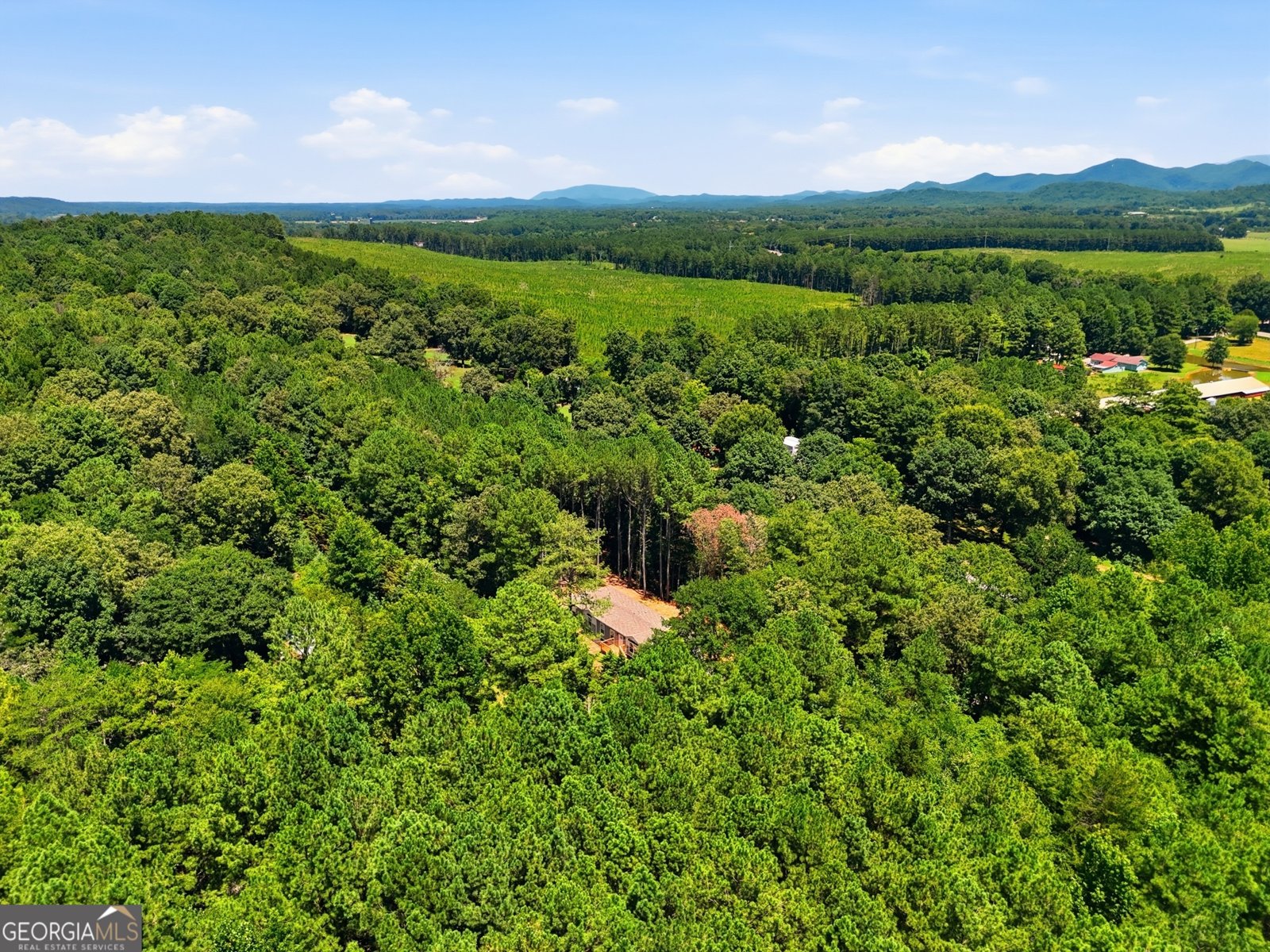 219 Maddron Road Crandall - Photo 47