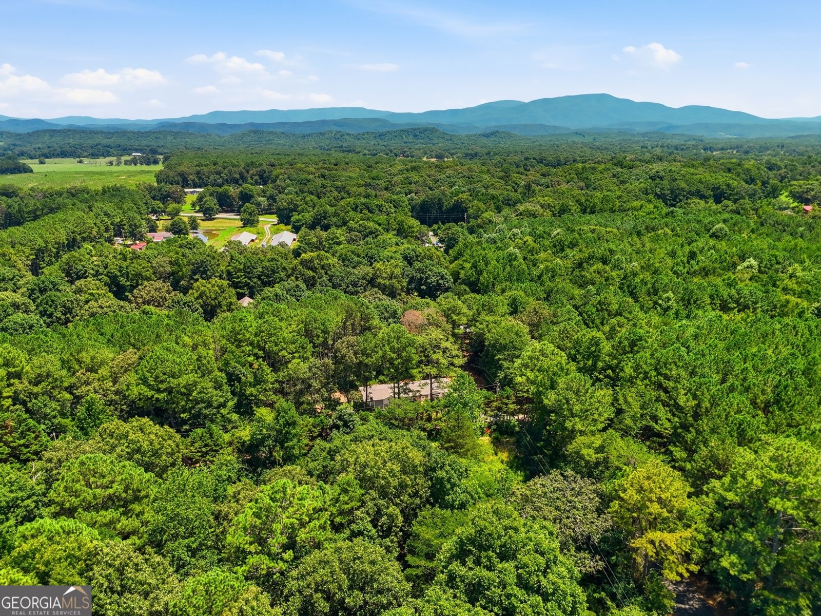 219 Maddron Road Crandall - Photo 48