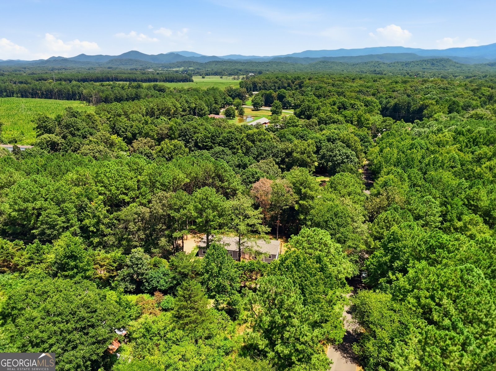 219 Maddron Road Crandall - Photo 49
