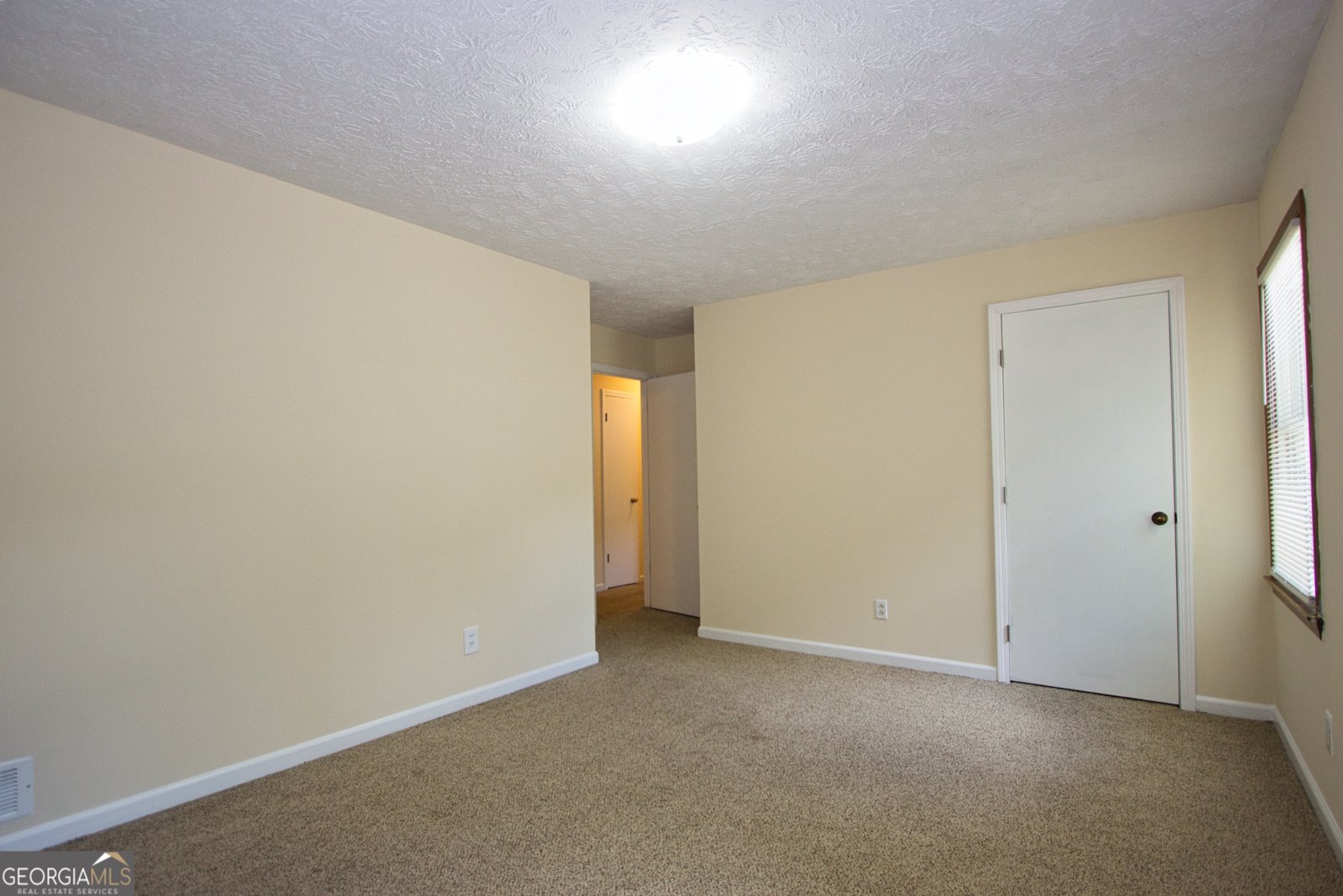 1237 Country Lane Drive Conyers - Photo 14