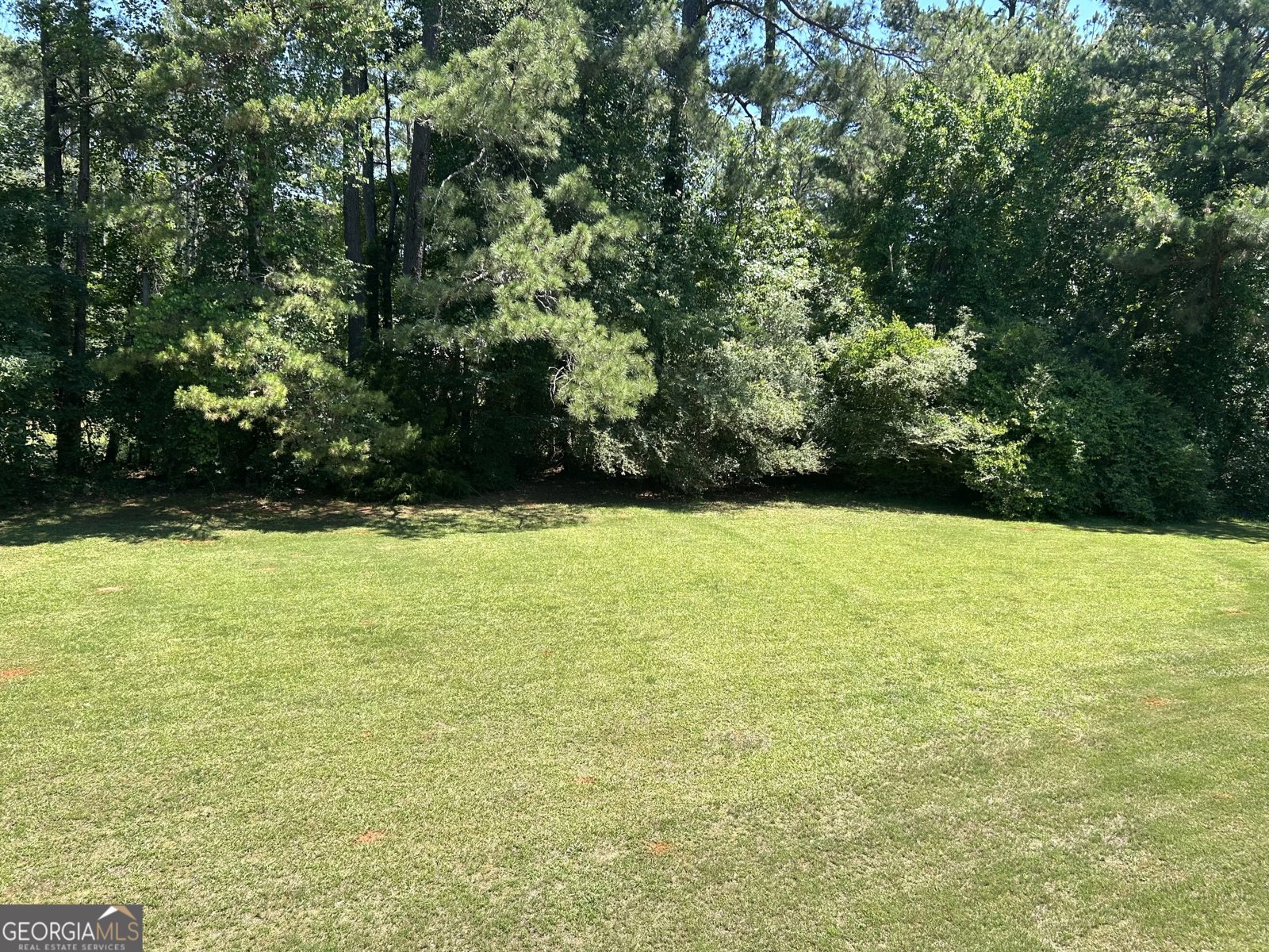 3351 Branch Valley Trail Conyers - Photo 61