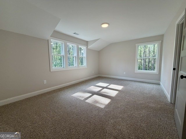 311 Mourning Court LaGrange - Photo 14