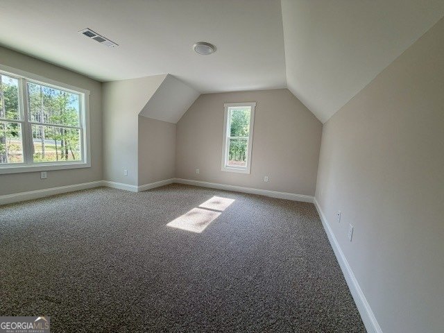 311 Mourning Court LaGrange - Photo 17