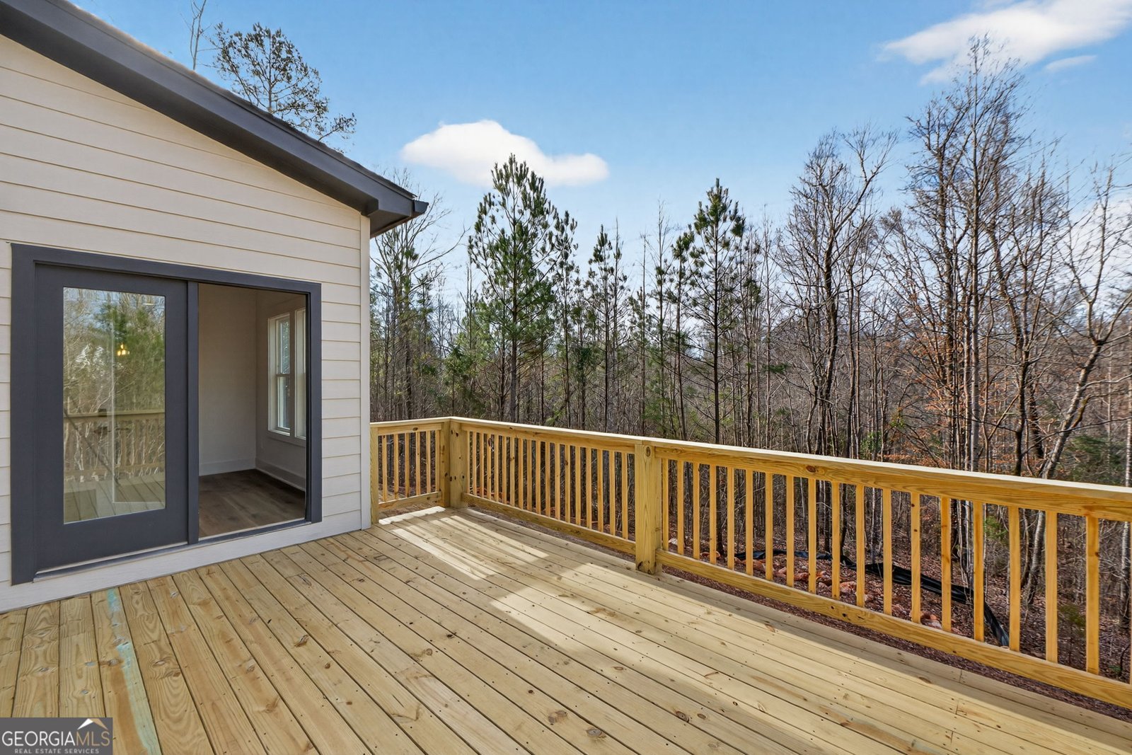 30 Concord Circle Senoia - Photo 37