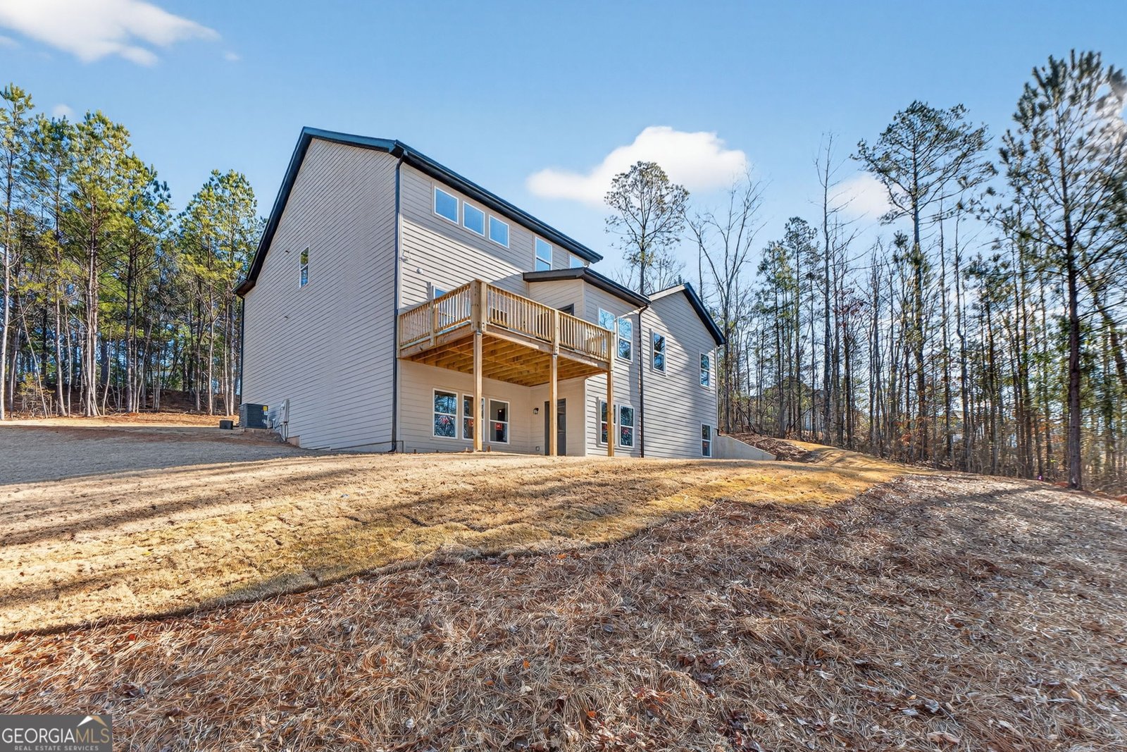 30 Concord Circle Senoia - Photo 66