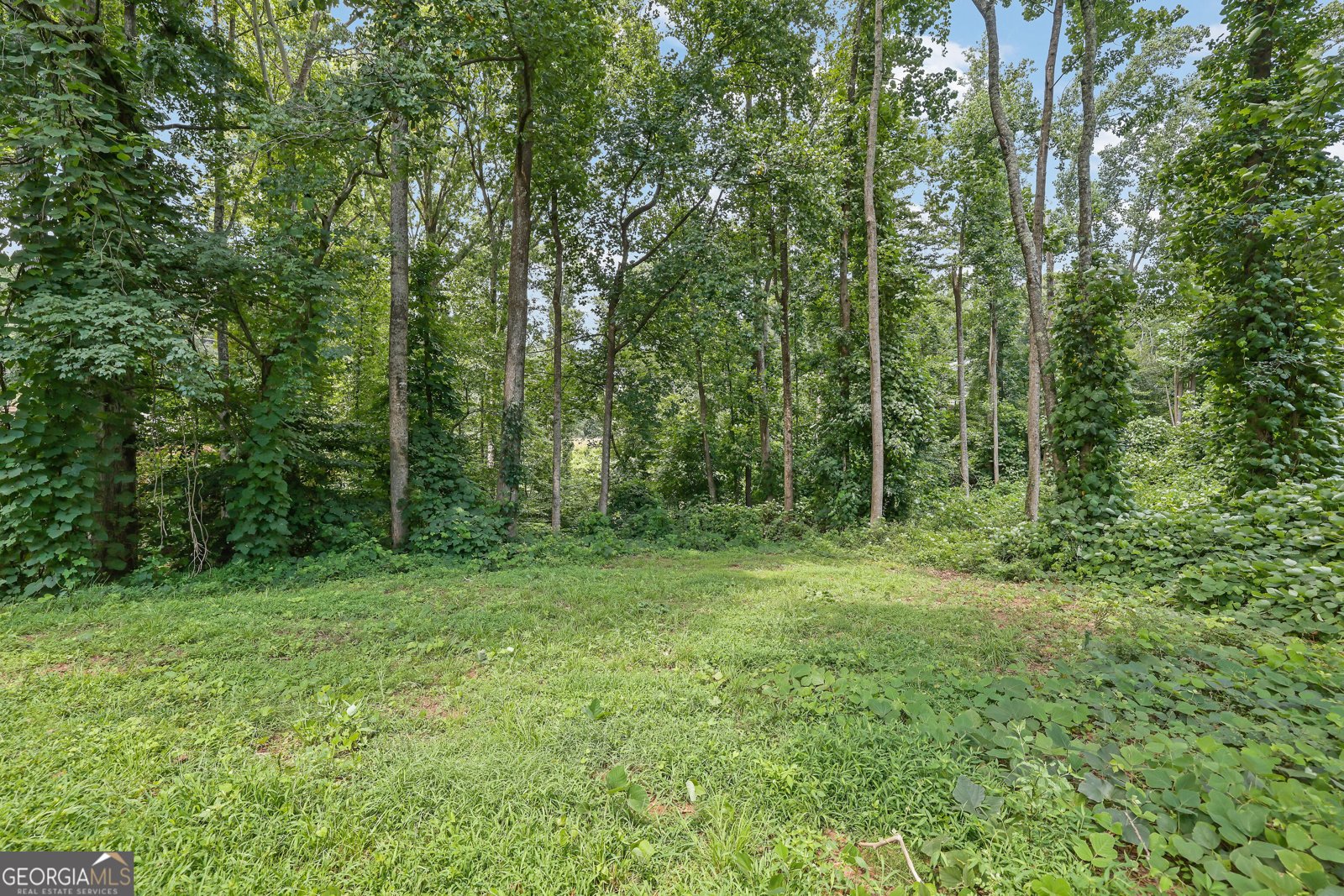 5465 Mashburn Drive Cumming - Photo 33