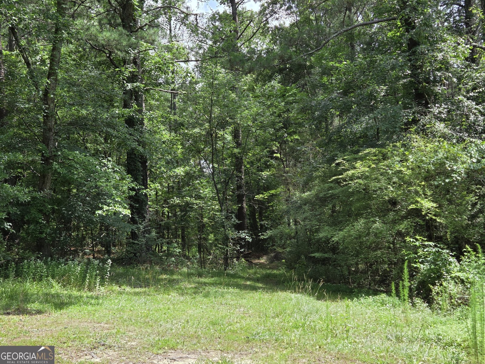 3971 Buchanan Highway Dallas - Photo 37