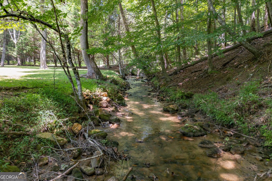 170 Dogpatch Lane Blue Ridge - Photo 21