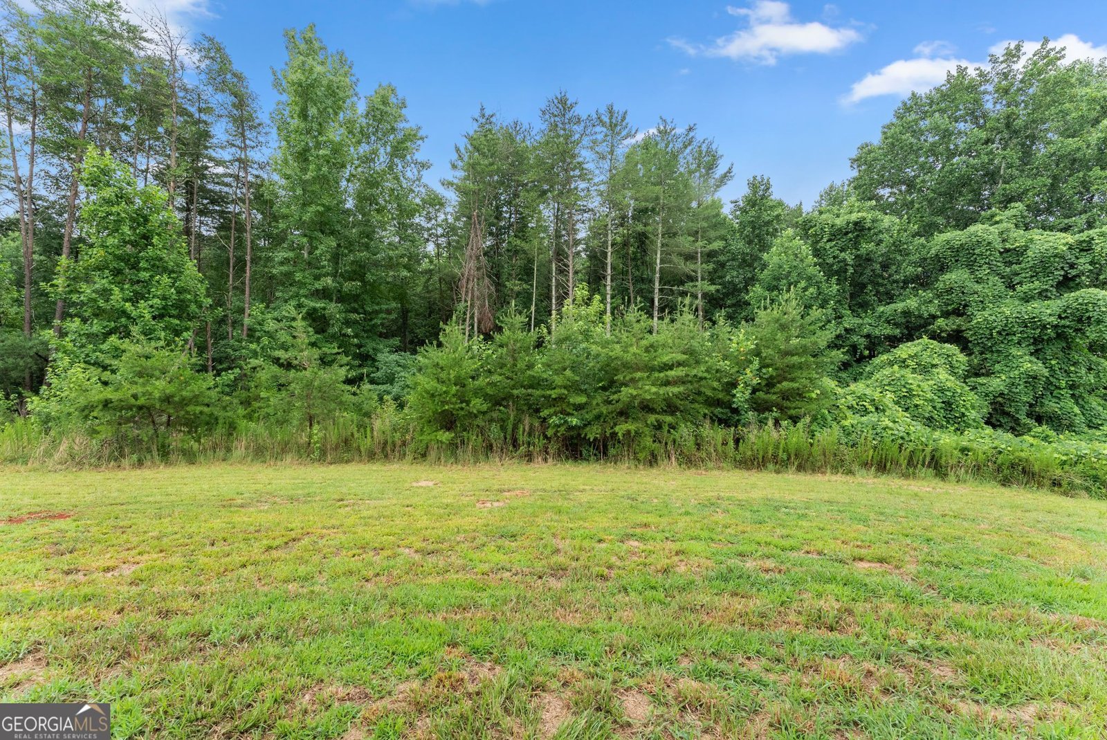 54 Great Works Drive Dahlonega - Photo 40