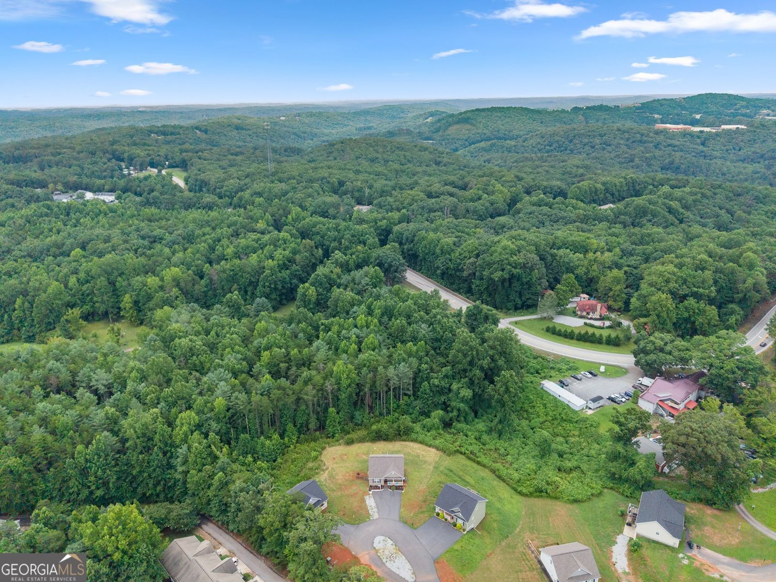 54 Great Works Drive Dahlonega - Photo 47