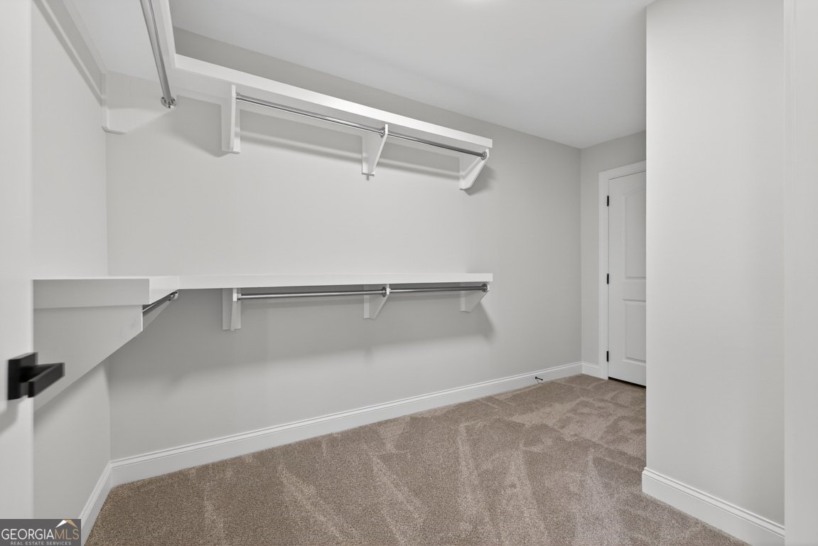 3110 Flatbottom Road Ball Ground - Photo 52