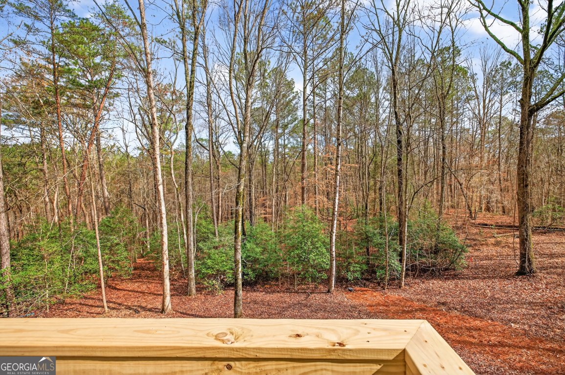3110 Flatbottom Road Ball Ground - Photo 66