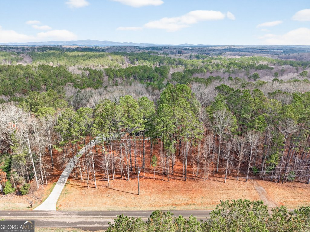 3110 Flatbottom Road Ball Ground - Photo 72