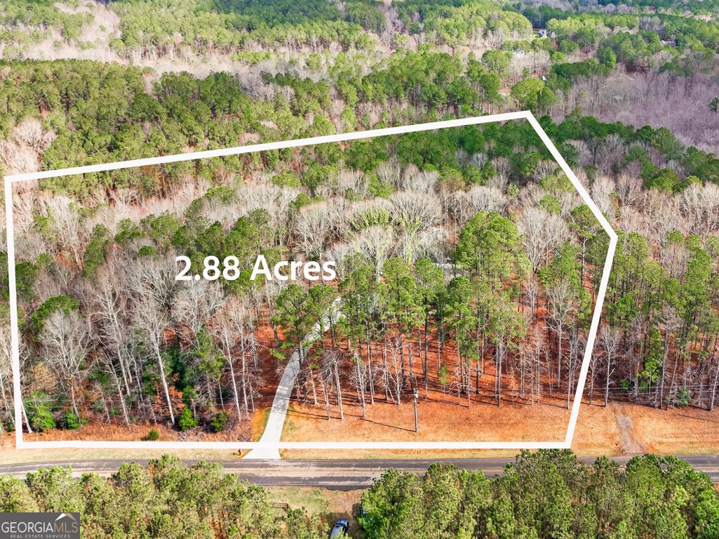 3110 Flatbottom Road Ball Ground - Photo 73