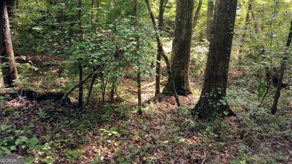 400 Herrell Road Villa Rica - Photo 98