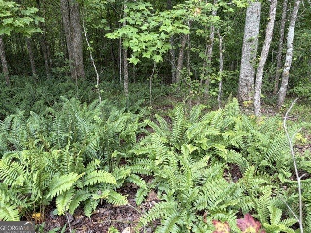 LOT 188 NORTHSHORE AT REDWINE DRIVE Newnan - Photo 34