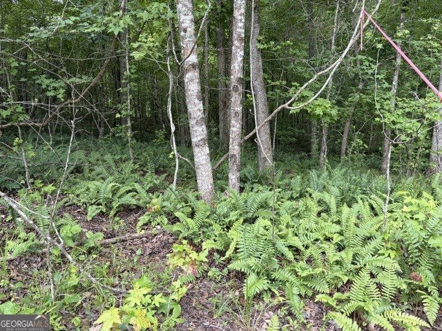 LOT 188 NORTHSHORE AT REDWINE DRIVE Newnan - Photo 35