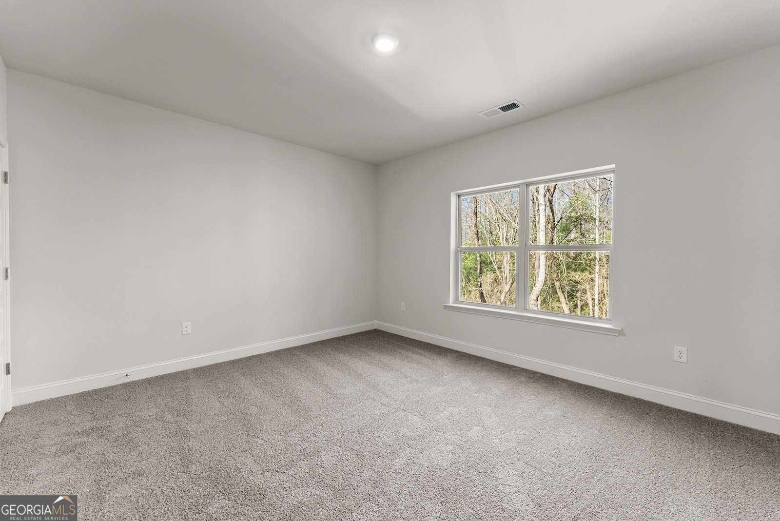 181 Thunder Valley Dawsonville - Photo 14
