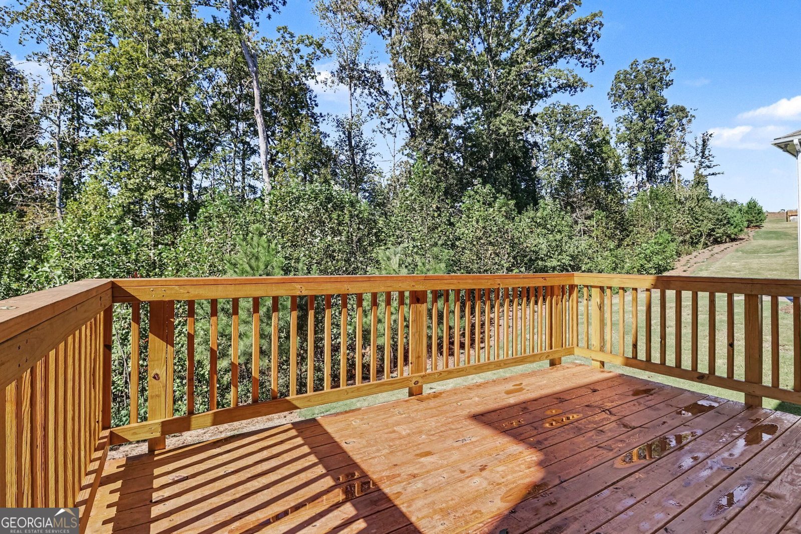 181 Thunder Valley Dawsonville - Photo 36