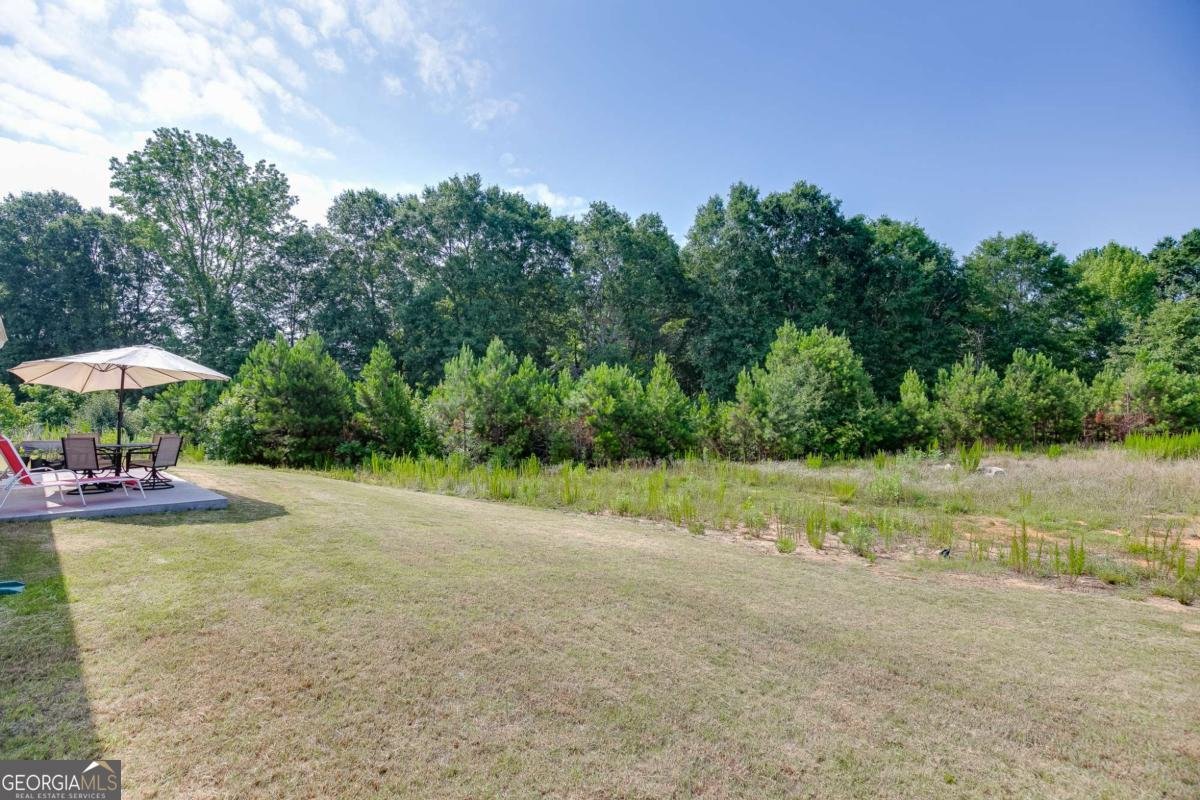 4045 Berry Farm Court Loganville - Photo 33