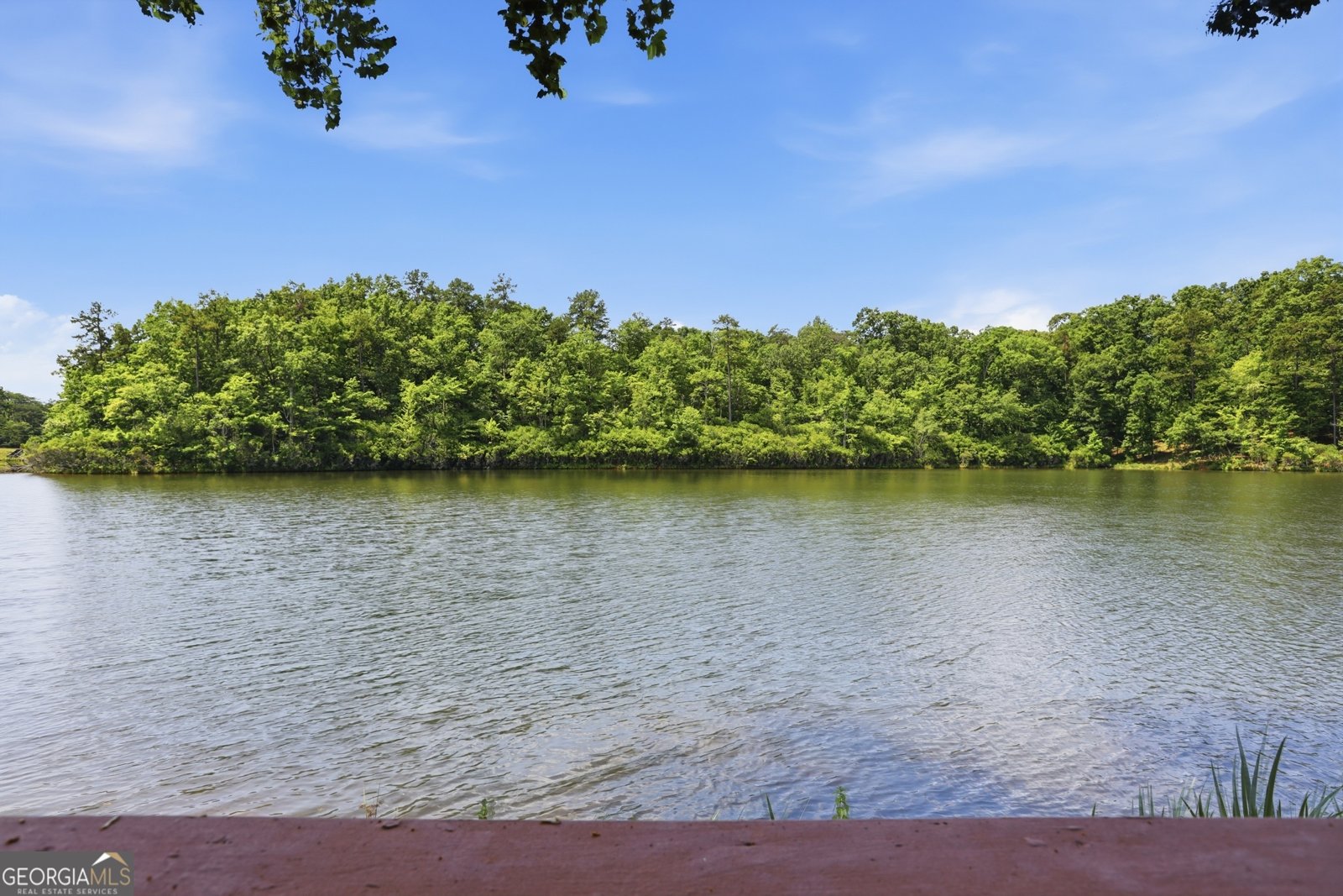 1049 Mountain Shadows Drive Cleveland - Photo 24