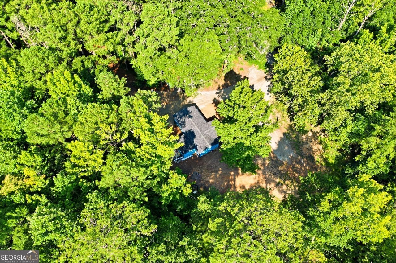 1733 Richard Road Conyers - Photo 10