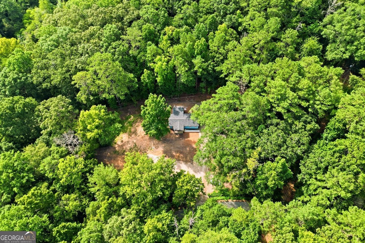 1733 Richard Road Conyers - Photo 14