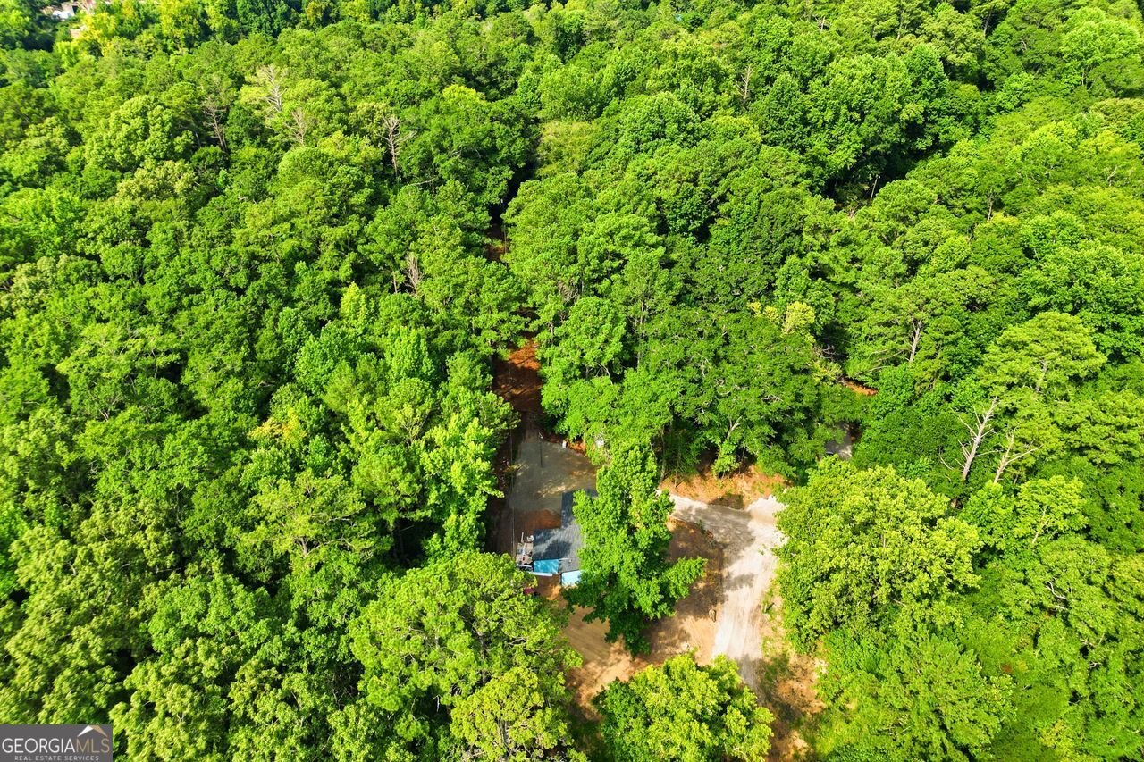 1733 Richard Road Conyers - Photo 15