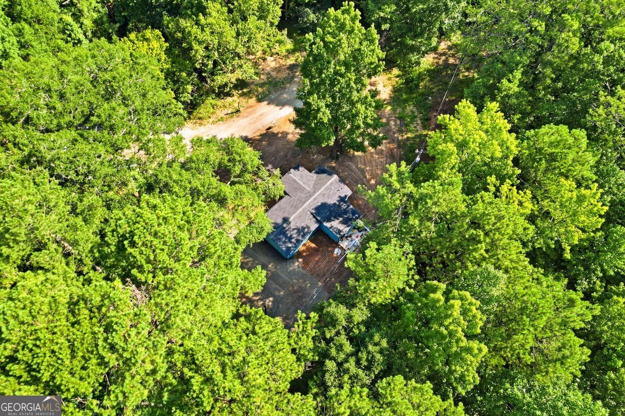 1733 Richard Road Conyers - Photo 21