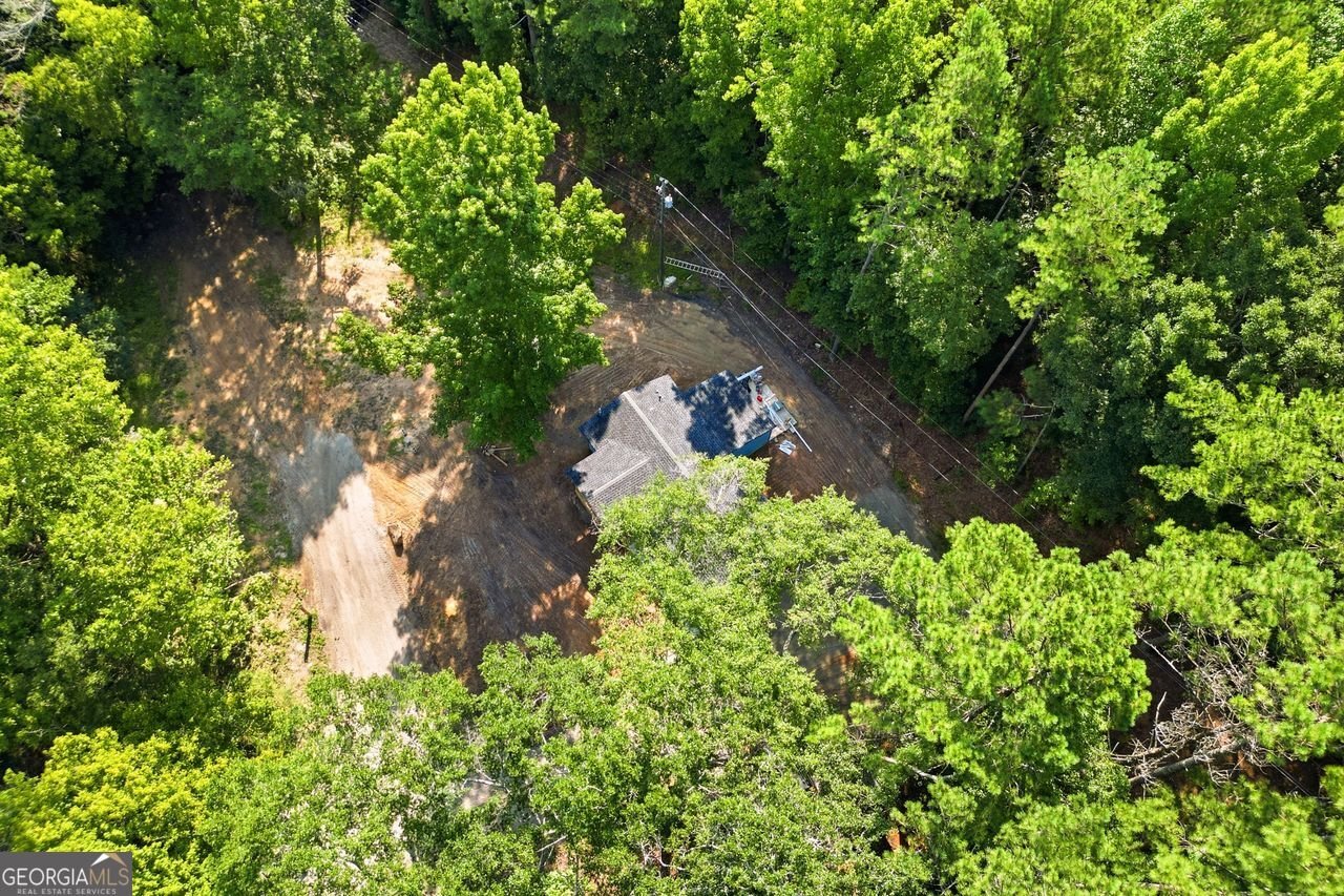 1733 Richard Road Conyers - Photo 22