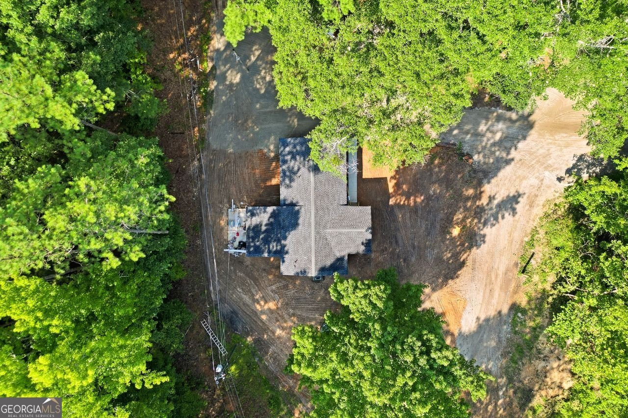 1733 Richard Road Conyers - Photo 8