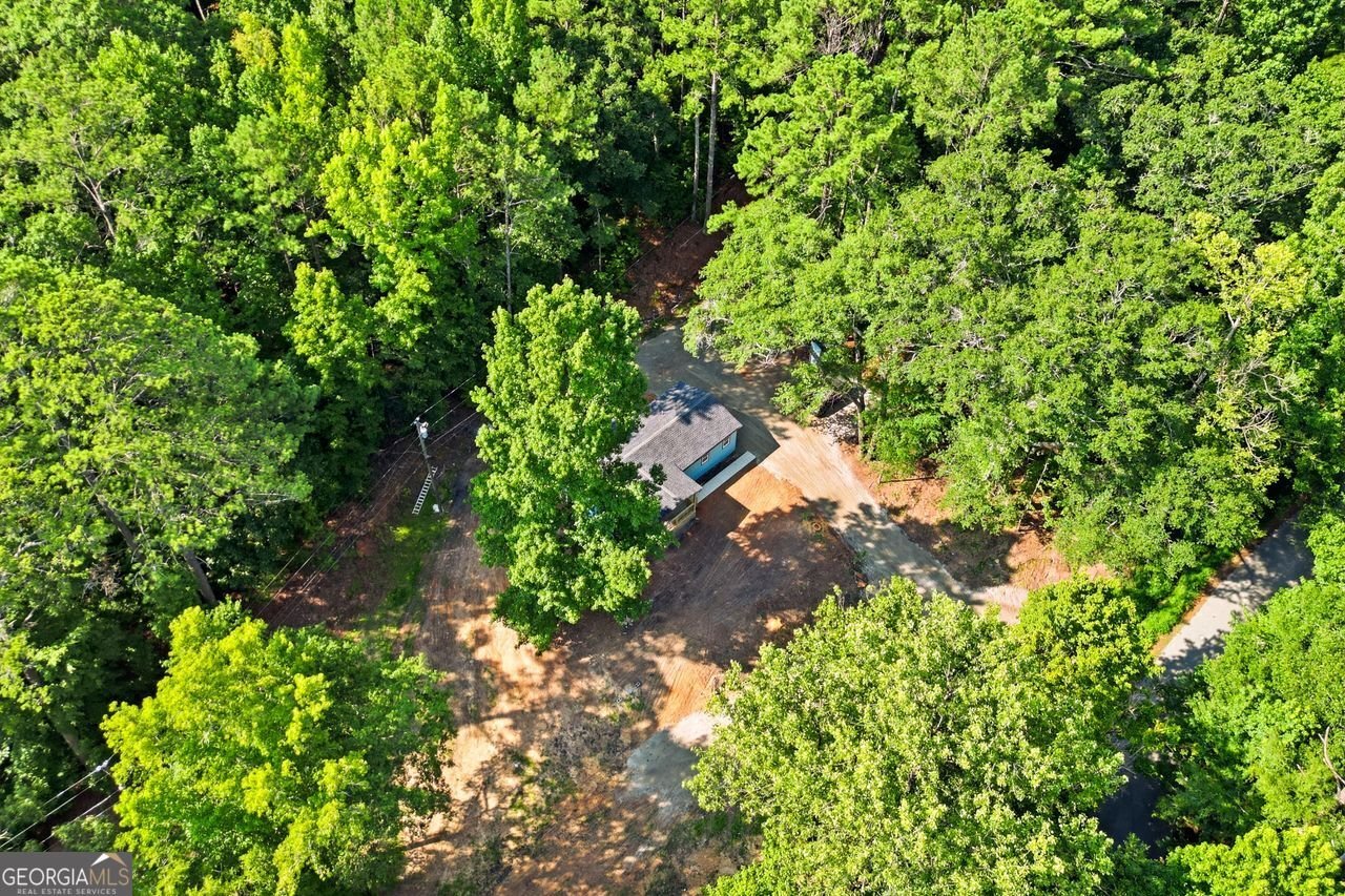 1733 Richard Road Conyers - Photo 9