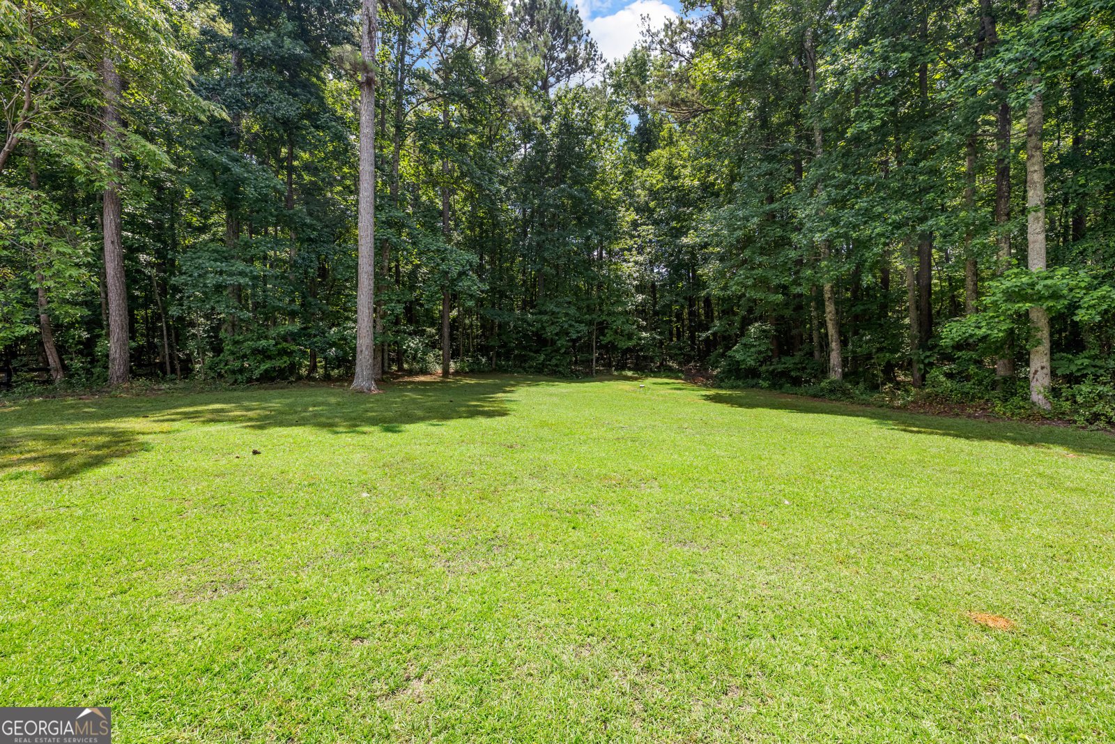 47 Nanette Drive Newnan - Photo 37