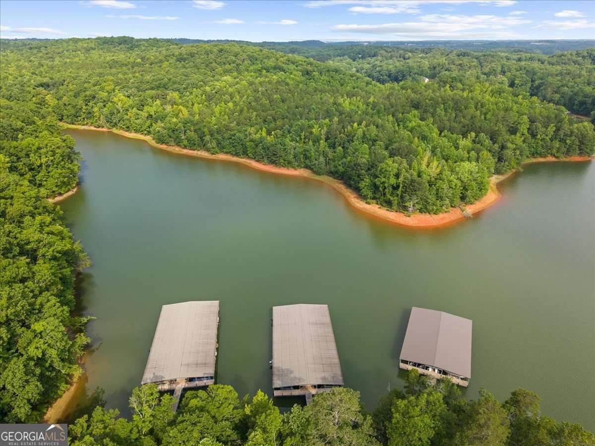 7560 Crestline Drive Dawsonville - Photo 52