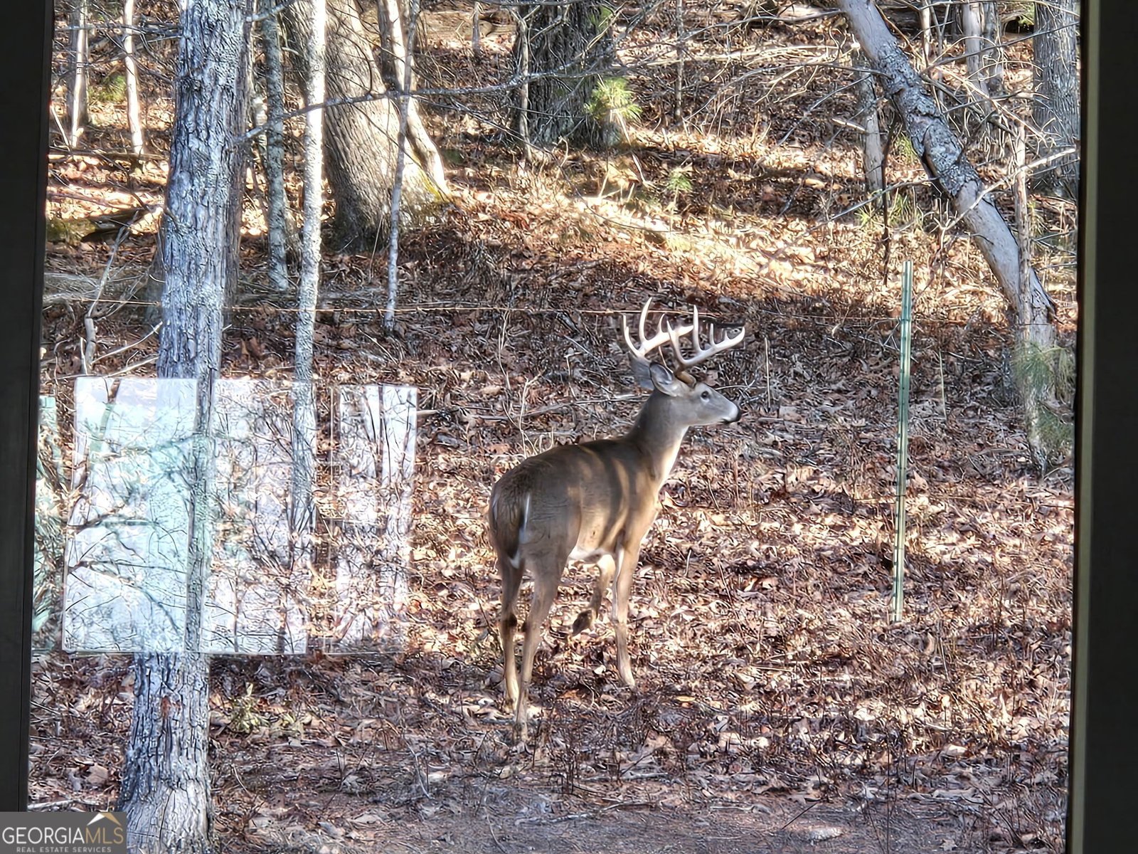 396 Greenfield Road Morganton - Photo 50