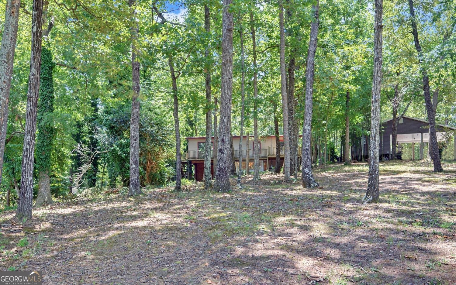 149 Foxtail Drive Hartwell - Photo 40