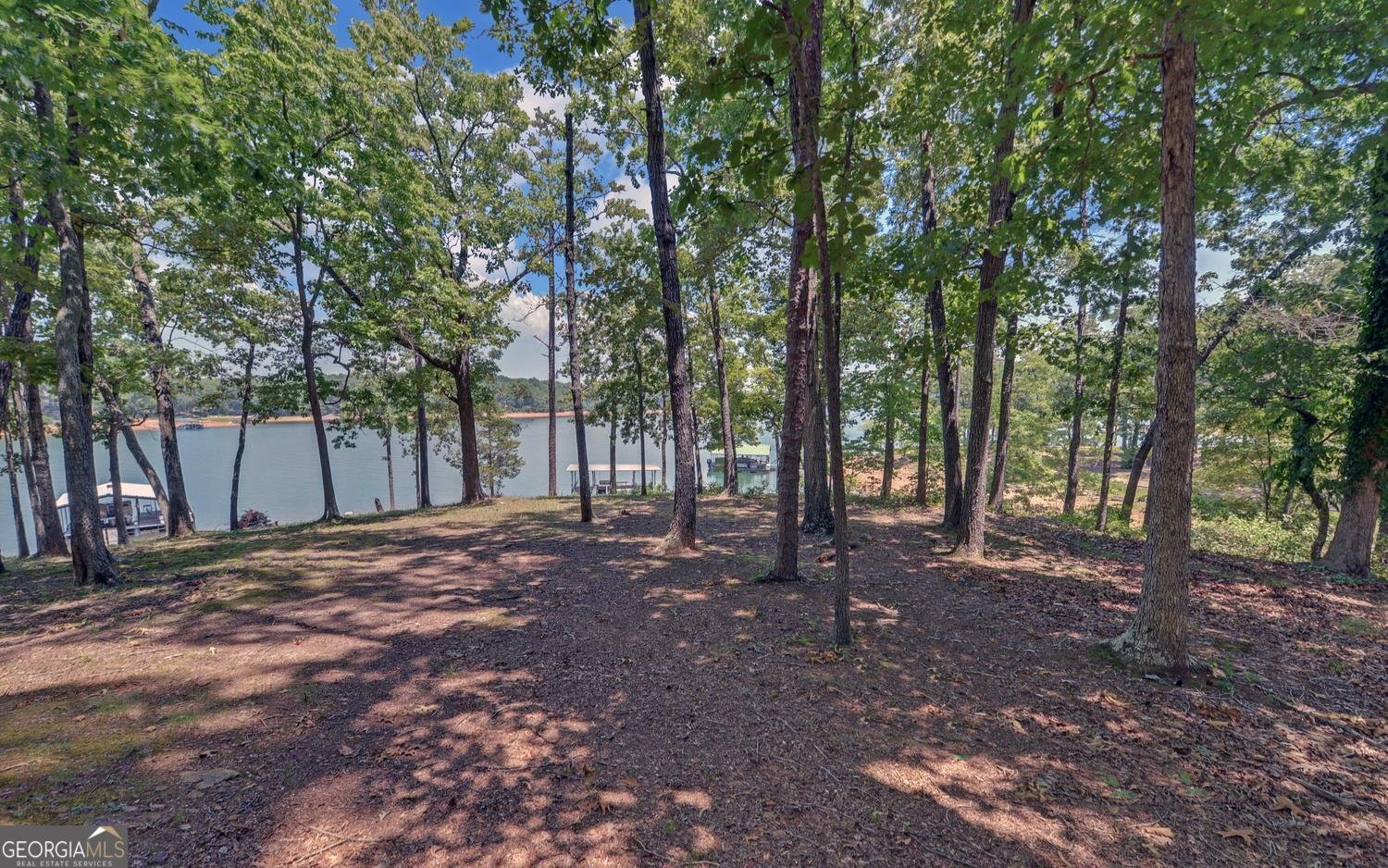 149 Foxtail Drive Hartwell - Photo 41