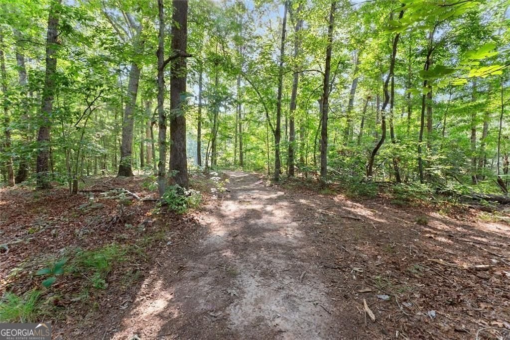 5314 H Thomas Road Gainesville - Photo 37
