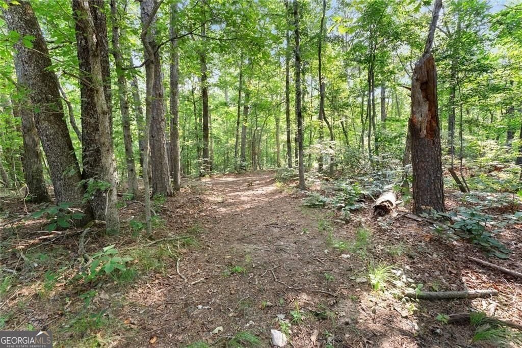 5314 H Thomas Road Gainesville - Photo 38
