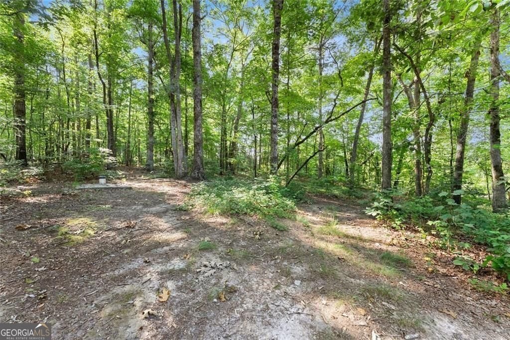 5314 H Thomas Road Gainesville - Photo 43