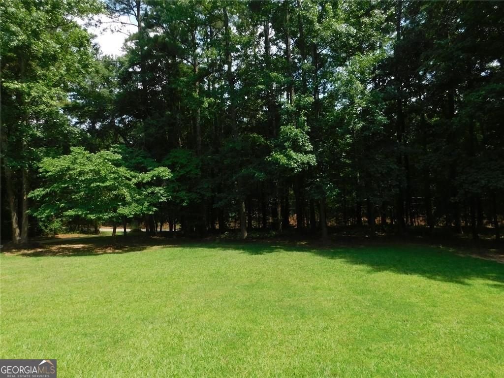 758 Hemphill Road Stockbridge - Photo 7