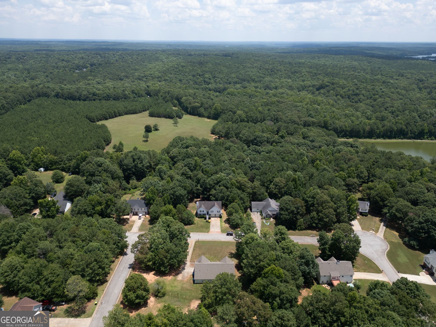 314 Black Willow Court Locust Grove - Photo 6
