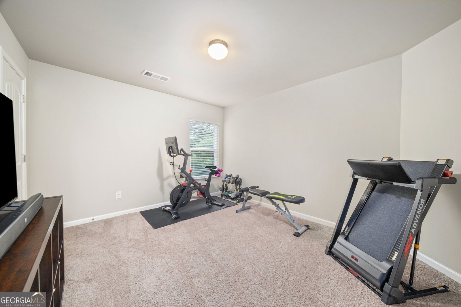 120 Kasey Drive Woodstock - Photo 30